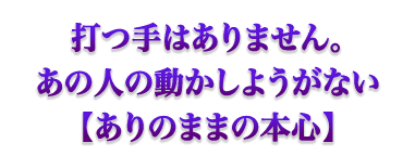 キセキの的中力に涙が止まらない 花凛のスピリチュアルタロット ウーマンエキサイト 占い